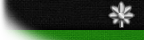 Lieutenant Colonel
